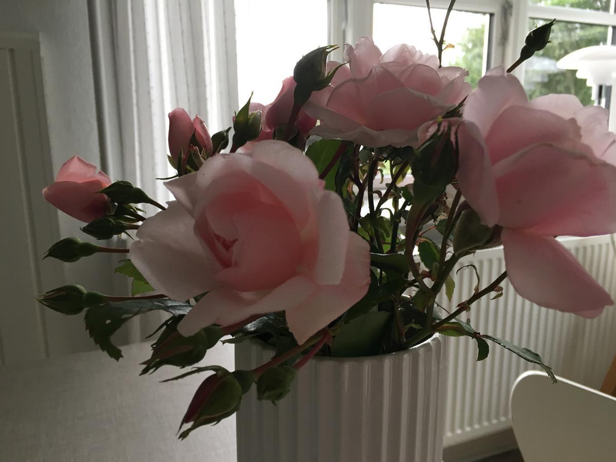 Heltoften Bed & Breakfast Nykobing Mors Esterno foto